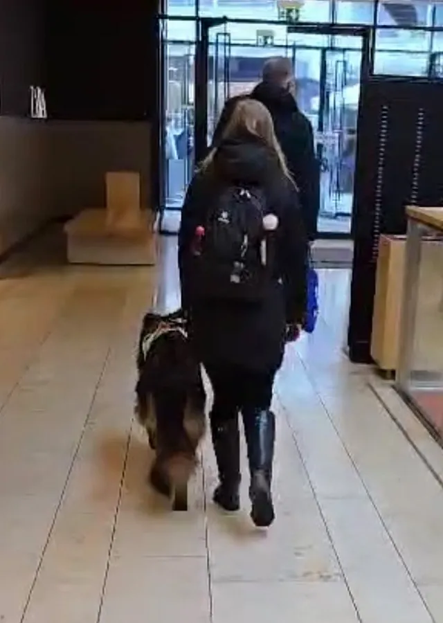 Blindenführhund führt sehbehinterte Frau durch eine Einkaufspassage